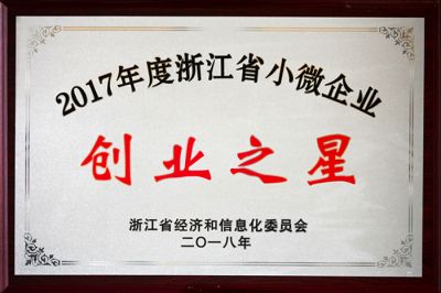 17年浙江小微企業(yè)創(chuàng)業(yè)之星